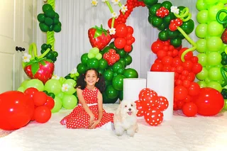 Strawberry Birthday Decor - image 2