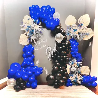 Black Swan Theme Decor - image 2