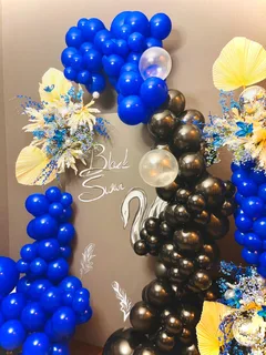 Black Swan Theme Decor - image 5