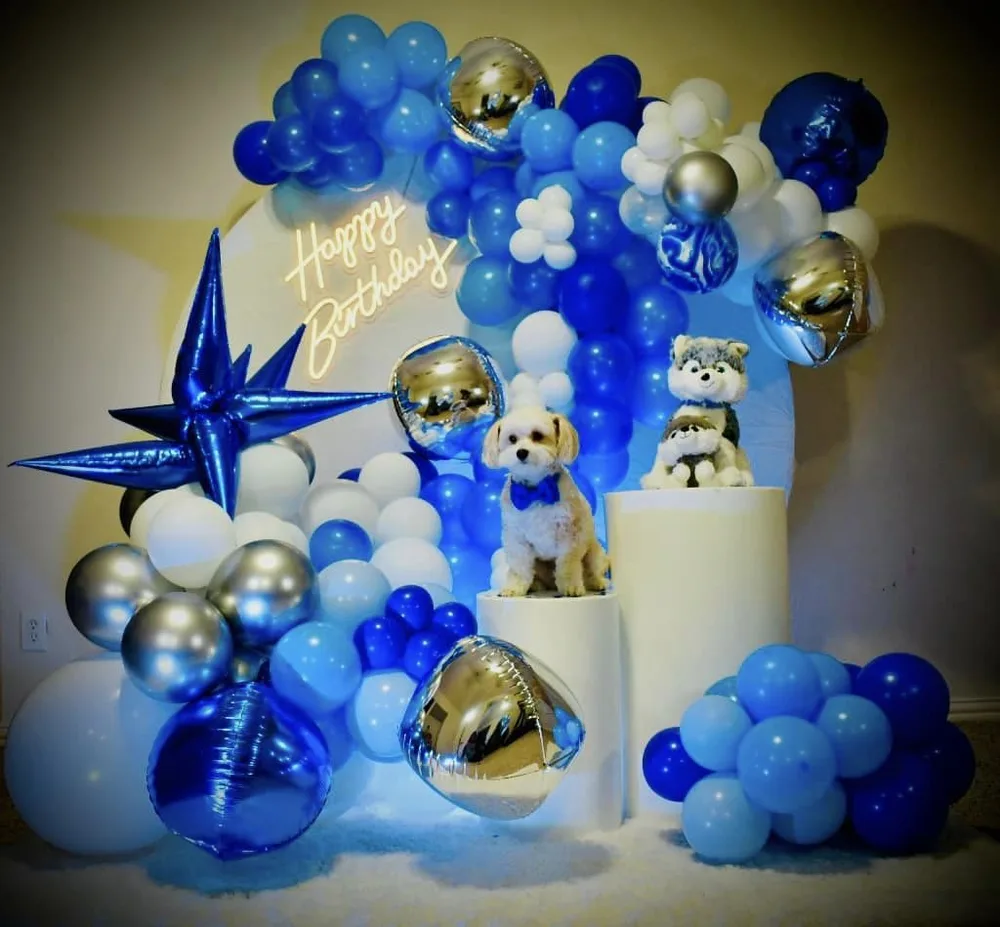 Silver/White /Blue Birthday Decor(Round Arch)