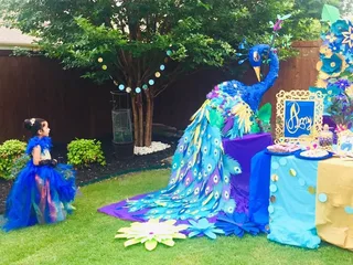 Peacock Birthday Decor - image 10