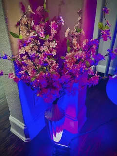 Blush /Pink /Rose Gold Birthday Decor - image 2