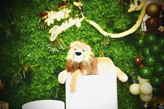 Zoo/Jungle Birthday Decor - image 3