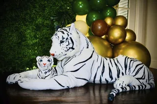 Zoo/Jungle Birthday Decor - image 4