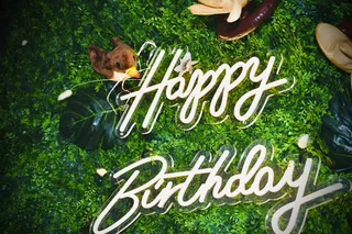 Zoo/Jungle Birthday Decor - image 6
