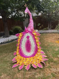 Pink Peacock - image 4
