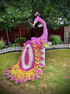 Pink Peacock - image 5